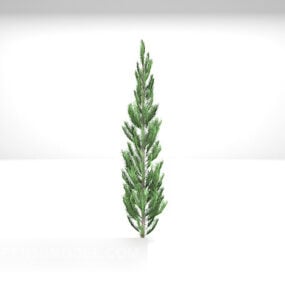 مدل سه بعدی American Pine Plant