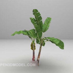 Garden Nature Banana Tree 3d model