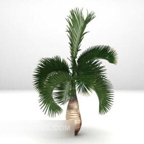 3D model tropické zelené palmy