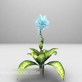 Indoor Potted Purple Flower 3d model
