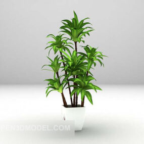 Green Plant In Ceramic Potted 3d model