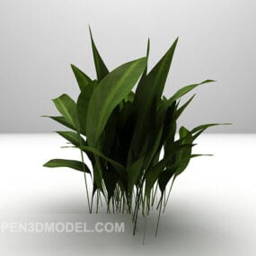 Modelo 3D de planta em vaso de interior com folha grande