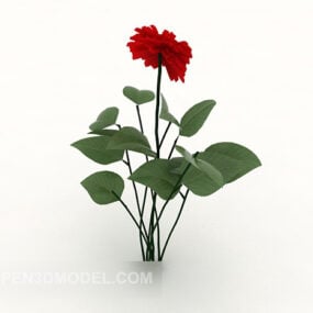 Safflower Plants 3d model
