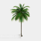 Palmier tropical de l'île