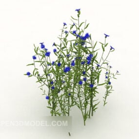 Alfalfa Plant 3d-model
