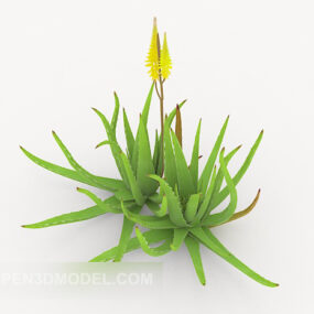 Aloe-Vera-Baum 3D-Modell