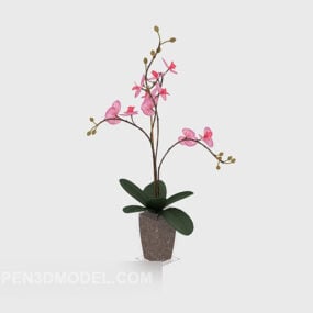 Apricot Tree Potted Flower 3d model