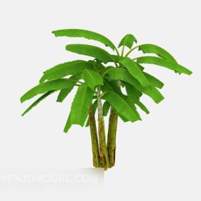 Tuinbananenboom 3D-model