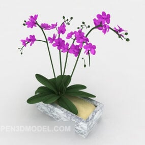 Model 3D Potted Orchid sing apik