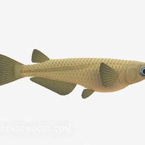 3д модель животного-рыбы с большими глазами