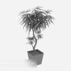Bonsai Pflanze Lowpoly