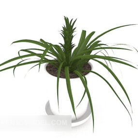 Modern Bonsai Plant 3d model