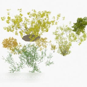 Coleção de arbustos Modelo 3D