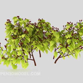Model 3D Cabang Camptree