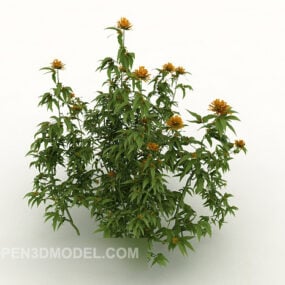 Arbustos de flores de crisantemo modelo 3d