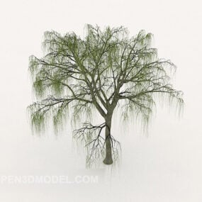 نموذج سحابة شجرة الصنوبر ثلاثي الأبعاد