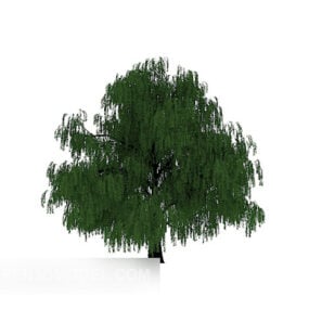 نموذج شجرة سحابة الصنوبر ثلاثي الأبعاد