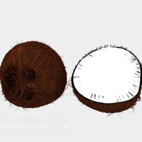 Slice Coconut Fruit 3d model