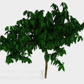نموذج ثلاثي الأبعاد لشجرة الفاكهة الشائعة