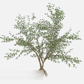 Green Outdoor Plant Small Leaf 3d model