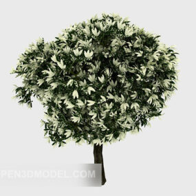 Modelo 3D de árvore de folhas largas com floração ao ar livre