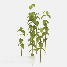 Common Outdoor Plant Tree 3d model