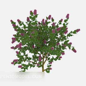 일반적인 녹색 꽃 식물 3d 모델