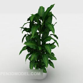 Common Green Home White Potted 3d model