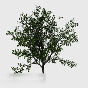 Common Green Outdoor Plant 3d model