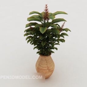Common Indoor Potted 3d model