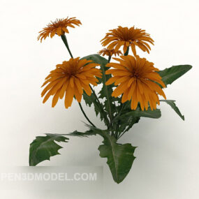 Chrysanthème sauvage extérieur commun modèle 3D