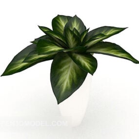 一般的なシンプルな鉢植えの大きな葉のトレ3Dモデル