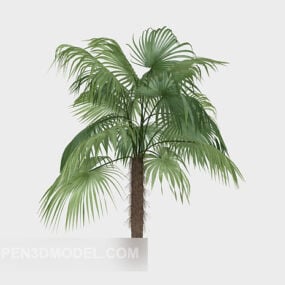 Garten-Nadelbaumpflanze 3D-Modell