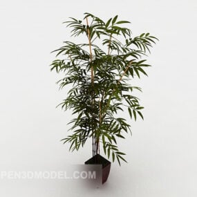 Courtyard Bamboo Bonsai 3d model