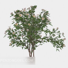Modello 3d della pianta del cortile