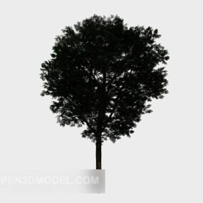 Avlu Yuvarlak Ağaç Doğa 3d modeli