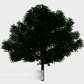 Modello 3d della pianta del giardino dell'albero del cortile