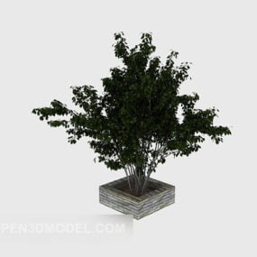 Courtyard Home Potted Plant 3d model