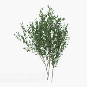 Cultivate Green Saplings Tree 3d model