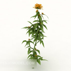 Cultivated Plant 3d model