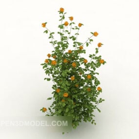 Daisy Plant Bush 3d model