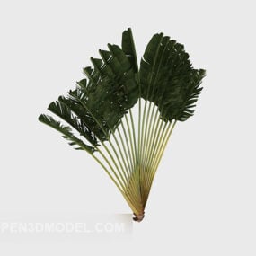 Árbol de abanico de plumas de jardín modelo 3d