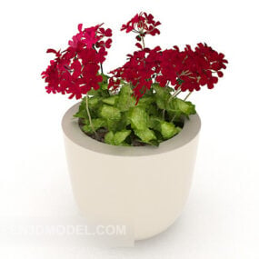 Decorative Small Potted 3d model