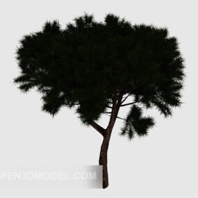 Model 3d Alam Pohon Pinus Kerdil