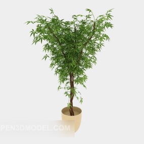 Model 3d Tumbuhan Pasu Alam Sekitar