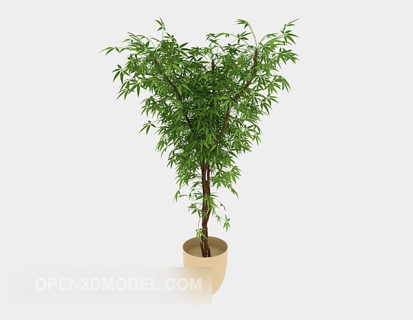 Environmentally Potted Plant