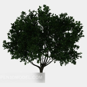 Evergreen Tree V1 3d model