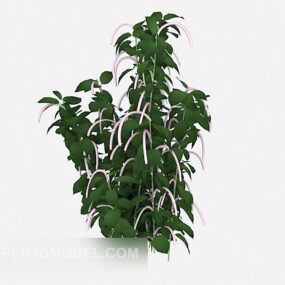 Udvalgt udendørs plante 3d-model
