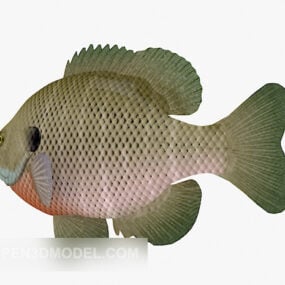 물고기 잉어 3d 모델