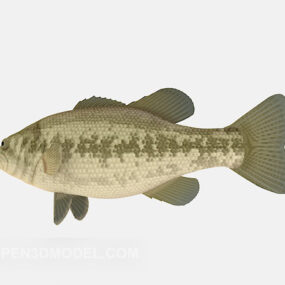 Docenianie ryb Model 3D zwierzęcia